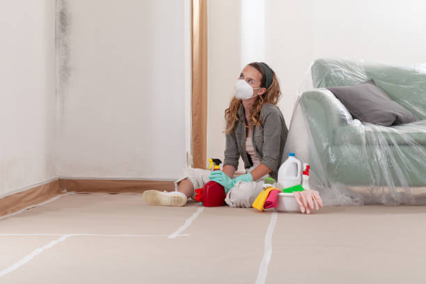 Reliable Commercial Mold Remediation contractor in Belmont, PA by WQB Mold Removal